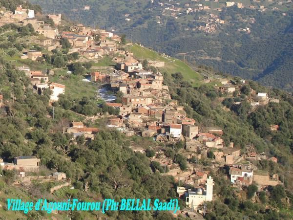 Image de diapositive