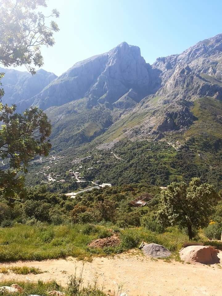 Image de diapositive