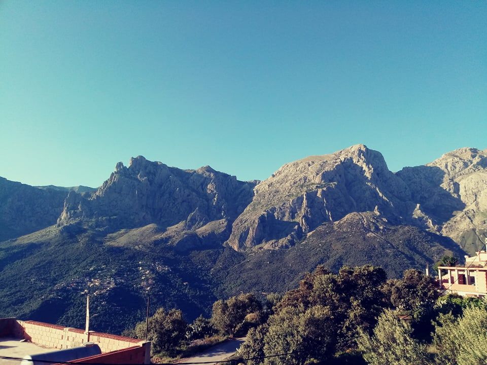 Image de diapositive